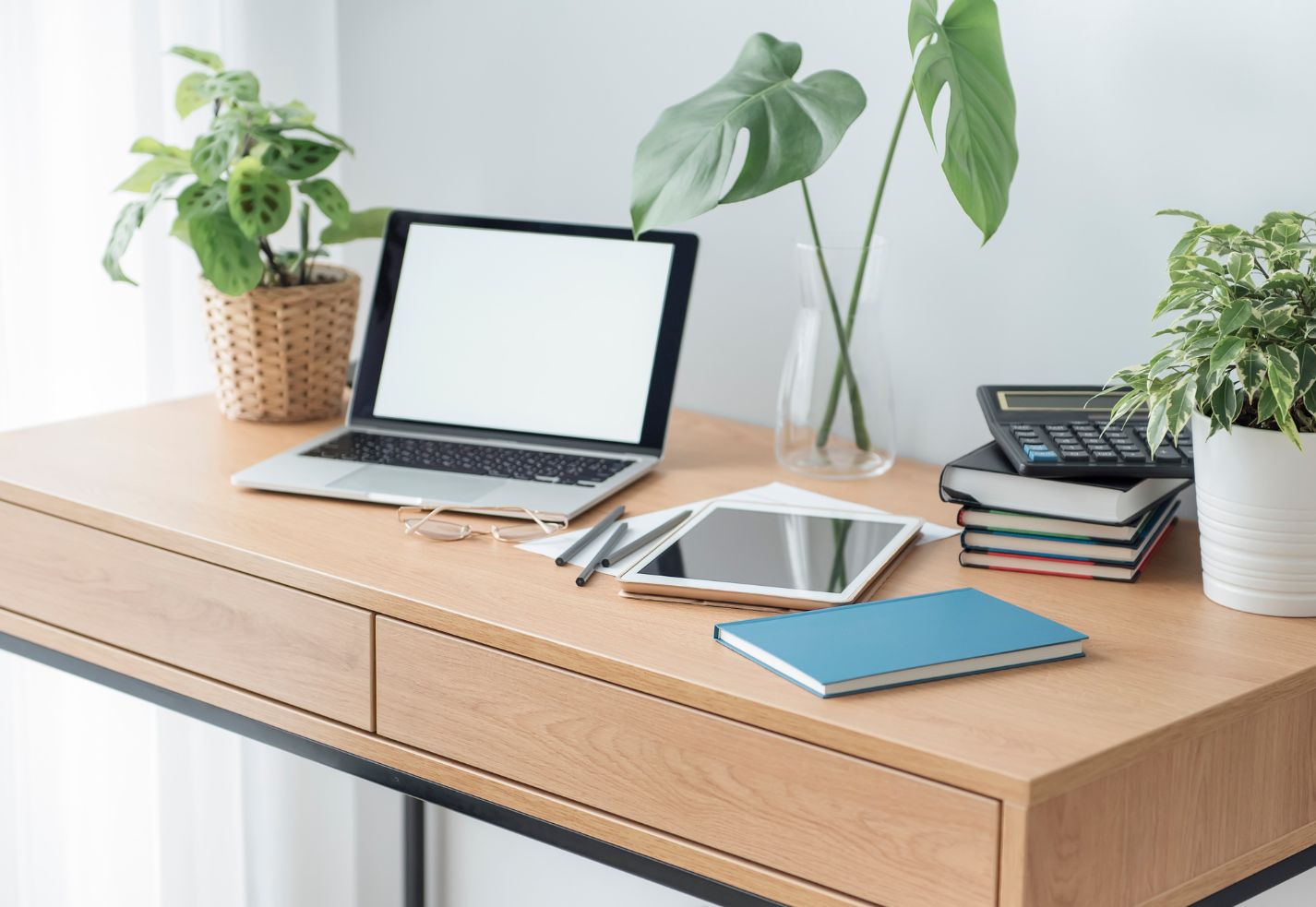 counselling-supervision-growth-australia-support Green plants growing on a desk, symbolising professional growth and wellbeing support